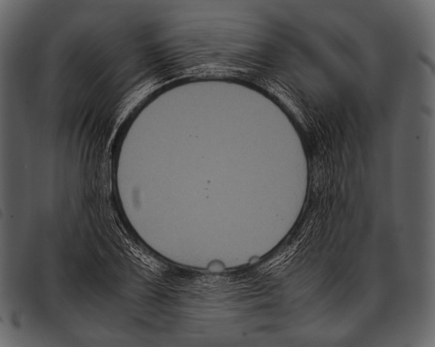 X0000097501075200803201547