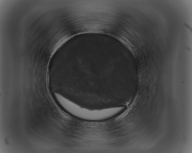 X0000097501077200803201547