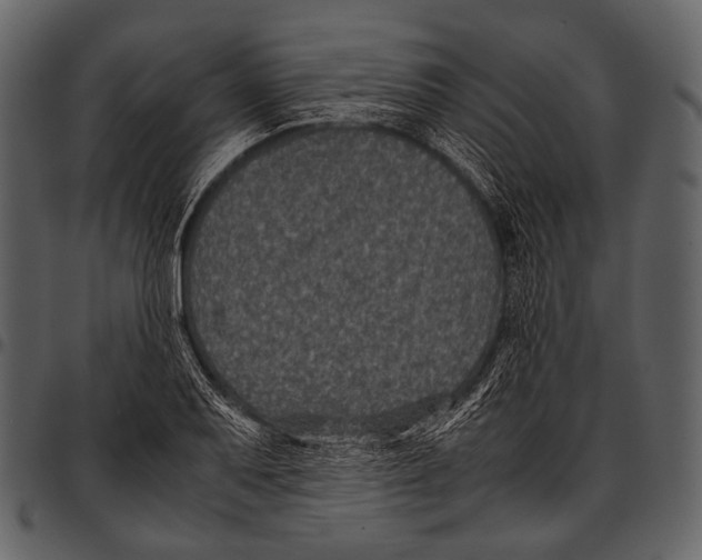 X0000097501079200803201547