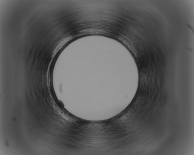 X0000097501082200803201547