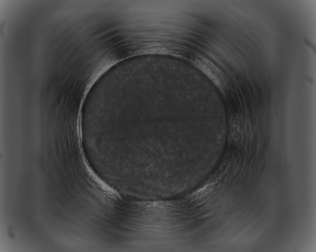 X0000097501084200803201547