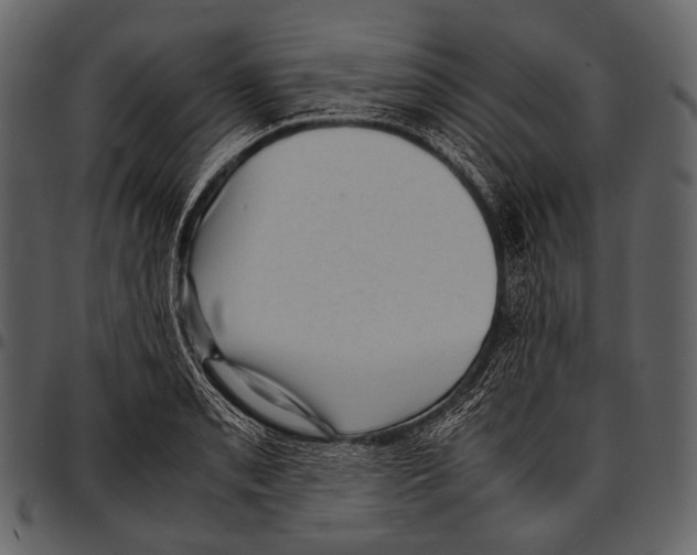 X0000097501085200803201547