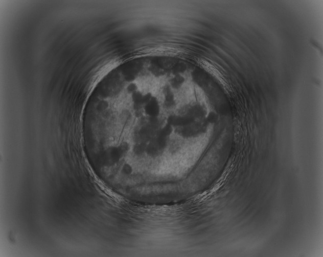 X0000097501087200803201547
