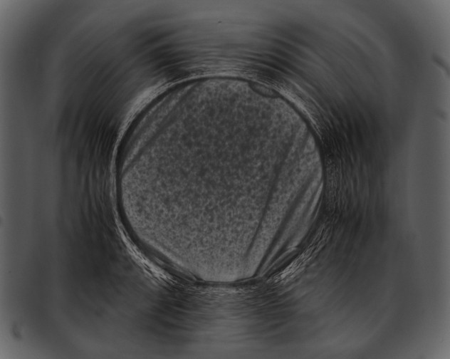 X0000097501088200803201547