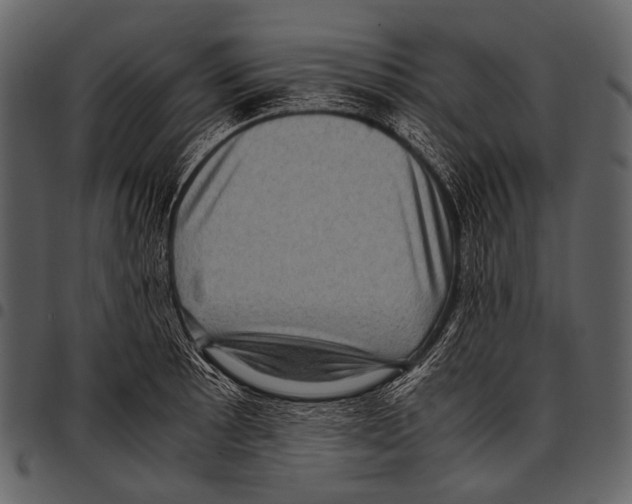 X0000097501089200803201547