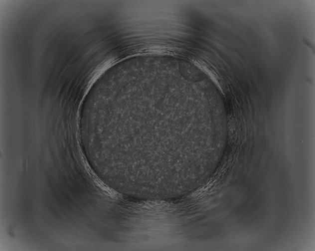 X0000097501091200803201547