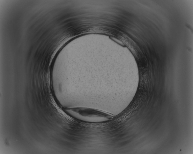 X0000097501092200803201547
