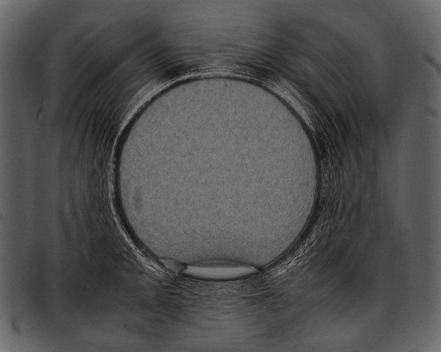 X0000097501093200803201547