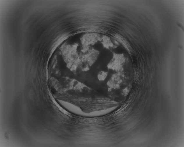 X0000097501095200803201547