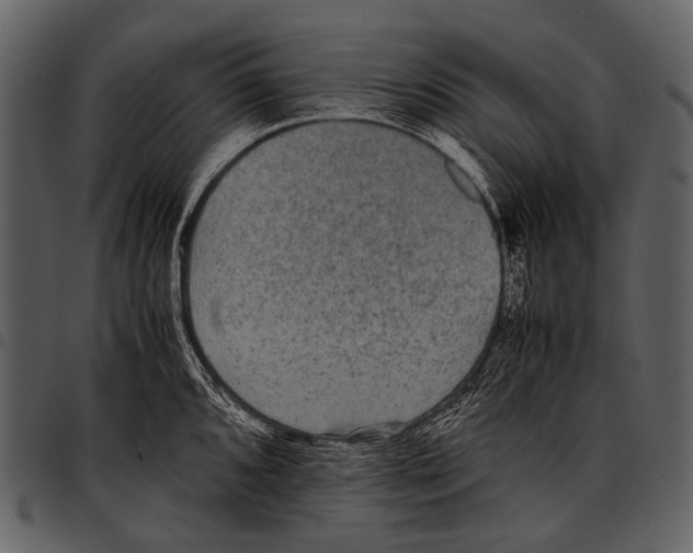 X0000097501096200803201547