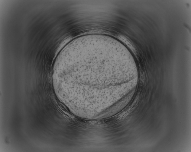 X0000097501097200803201547