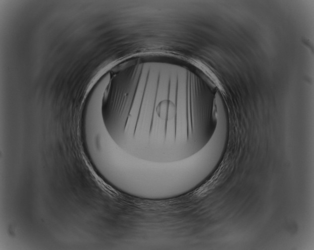 X0000097501101200803201547
