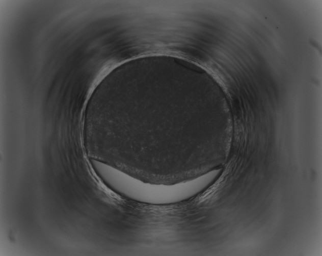X0000097501102200803201547
