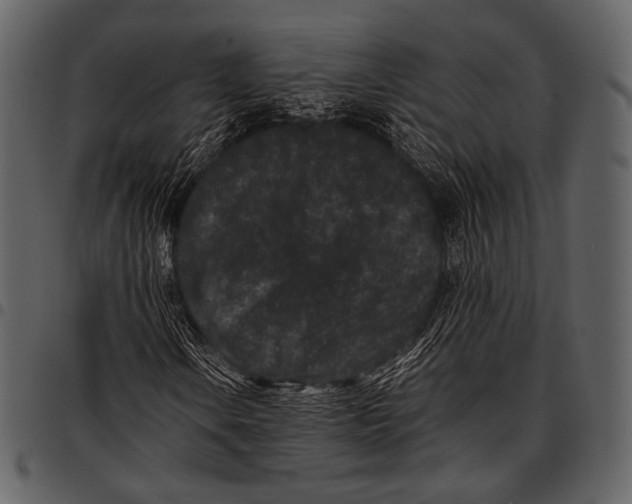 X0000097501106200803201546