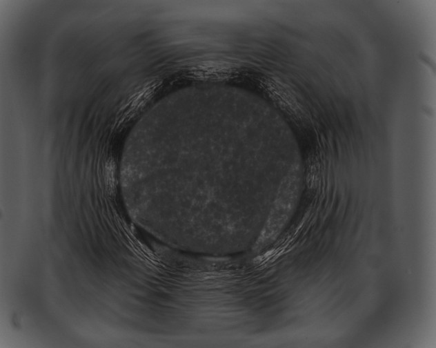 X0000097501108200803201546