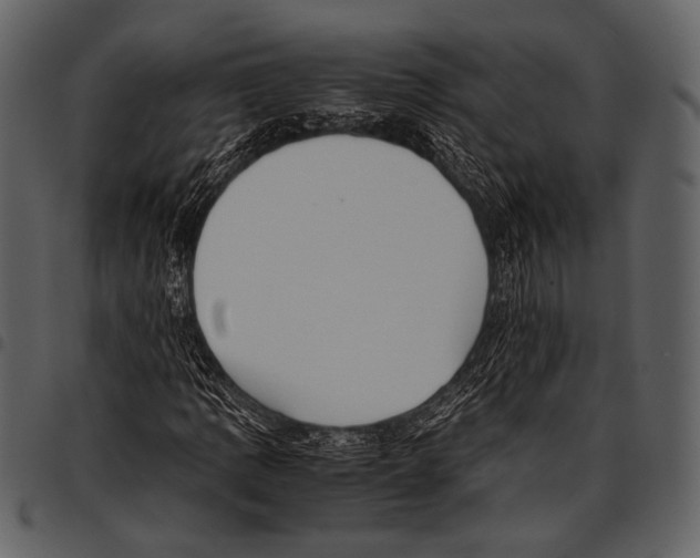 X0000097501109200803201546