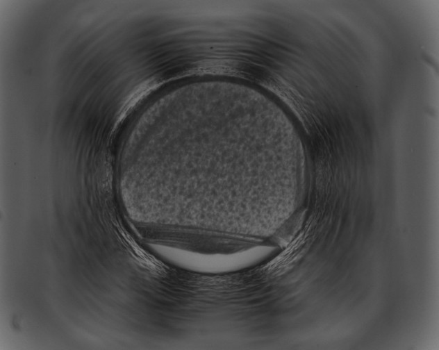 X0000097501115200803201546