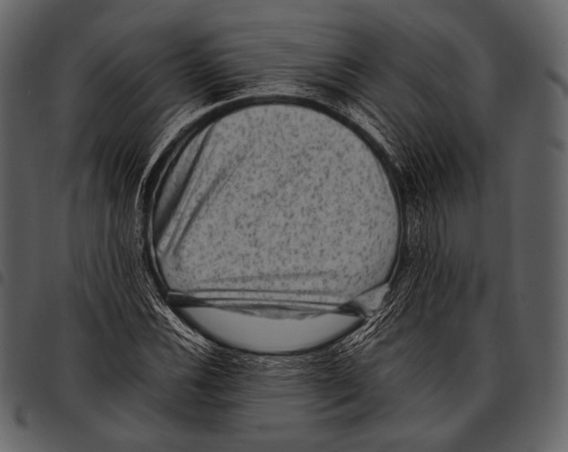 X0000097501116200803201546