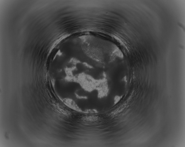 X0000097501117200803201546