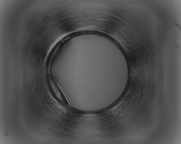 X0000097501118200803201546
