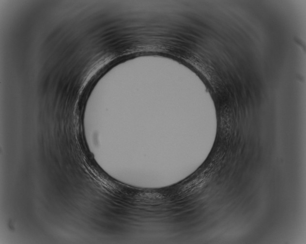 X0000097501119200803201546