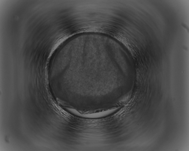 X0000097501120200803201546