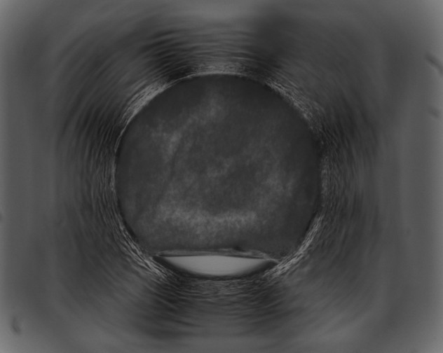 X0000097501121200803201546