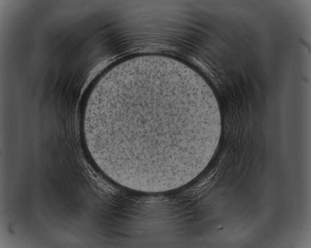 X0000097501122200803201546