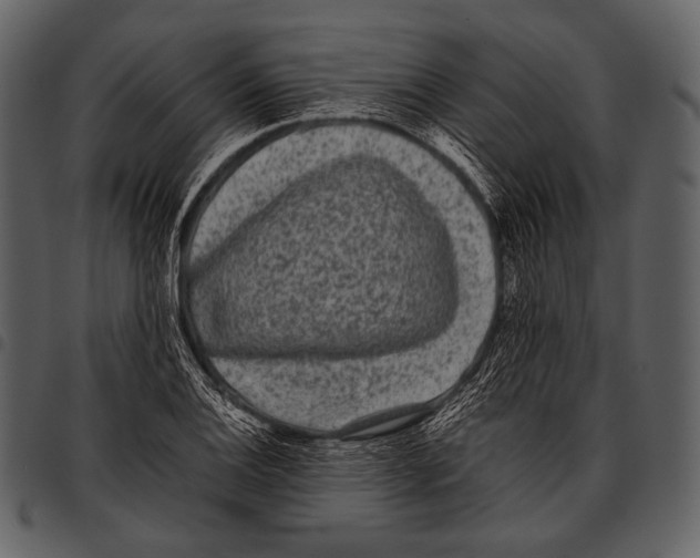X0000097501124200803201546