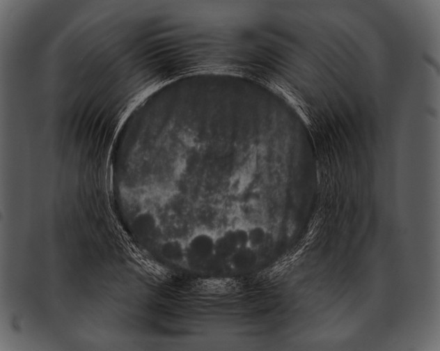 X0000097501125200803201546