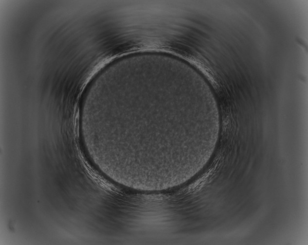 X0000097501126200803201546