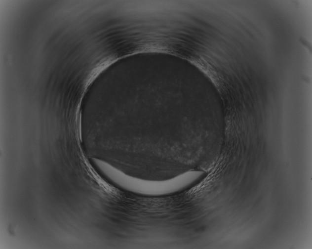 X0000097501127200803201546