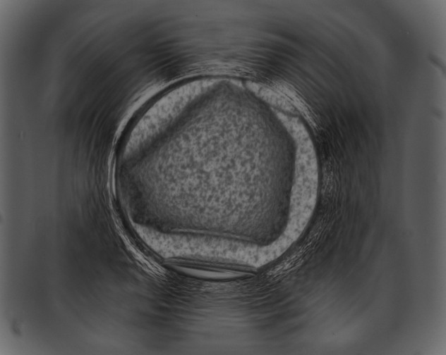X0000097501128200803201546