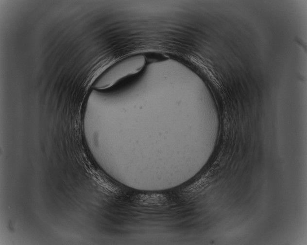 X0000097501129200803201546