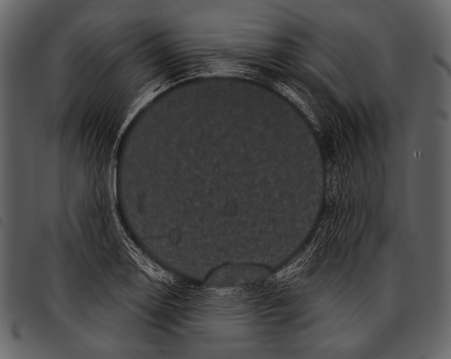 X0000097501130200803201546