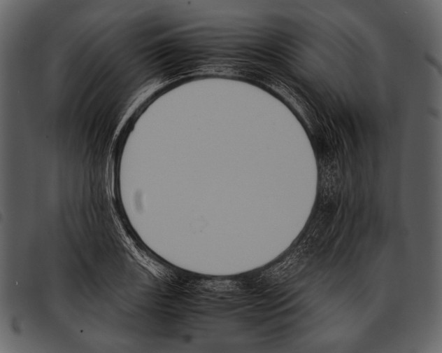 X0000097501131200803201546
