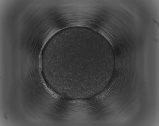 X0000097501132200803201546