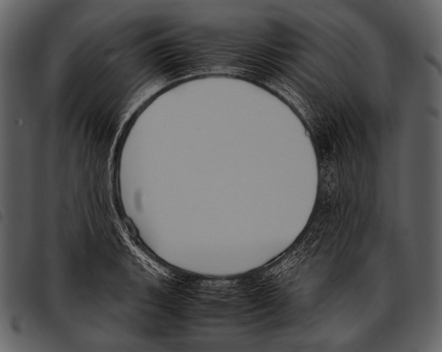 X0000097501135200803201547