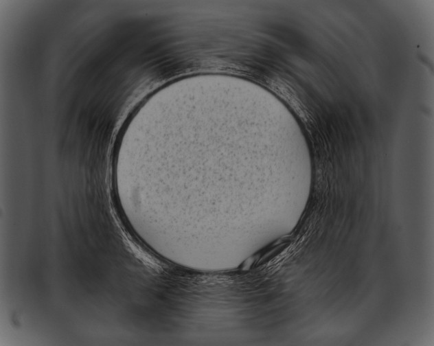 X0000097501136200803201547