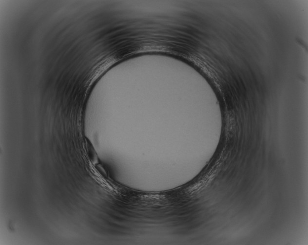 X0000097501137200803201547