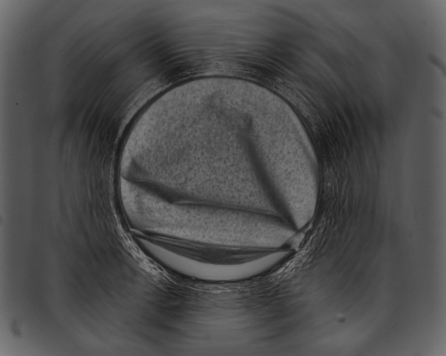 X0000097501138200803201547