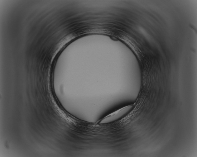 X0000097501139200803201547