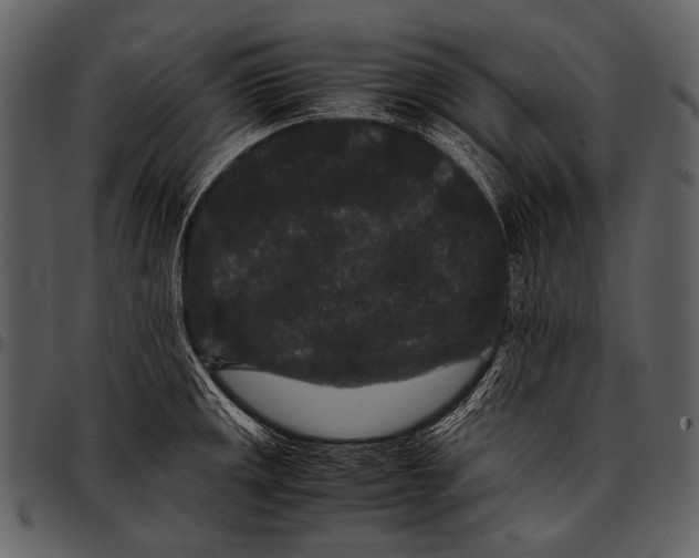 X0000097501141200803201547