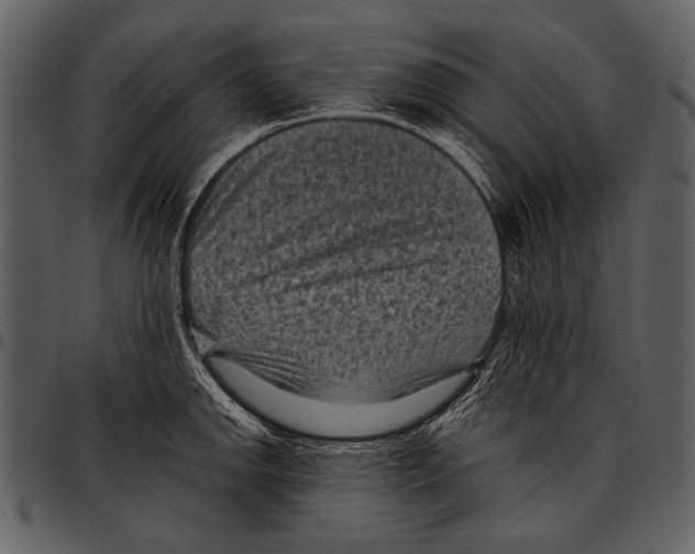 X0000097501142200803201547