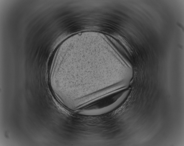 X0000097501143200803201547