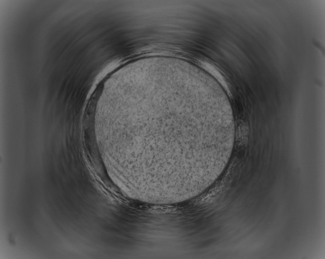 X0000097501146200803201547