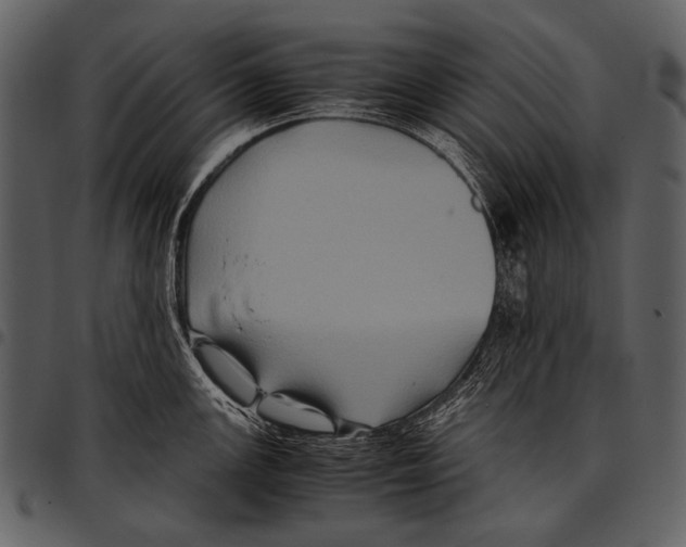 X0000097501147200803201547