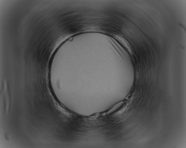 X0000097501149200803201547