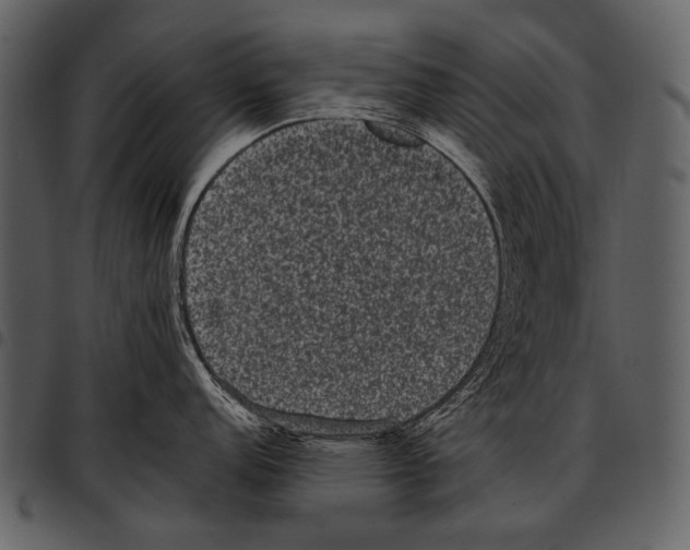 X0000097501152200803201547