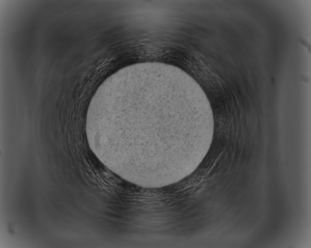 X0000097501153200803201546
